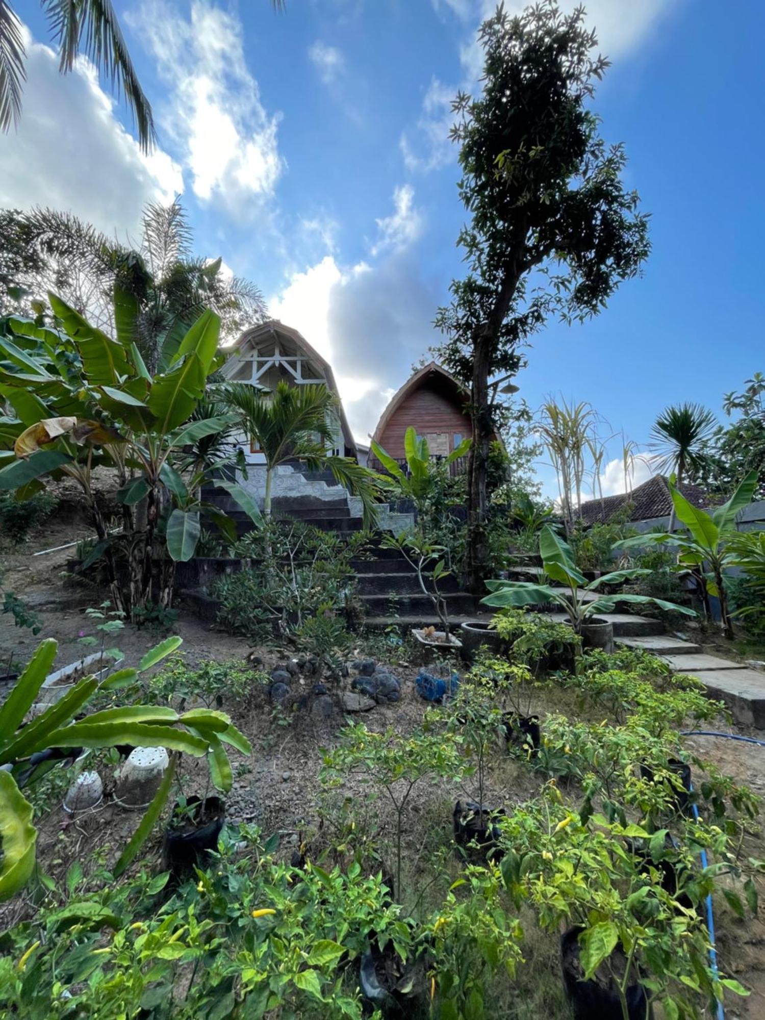 Tri Putri Homestay Kuta  Экстерьер фото