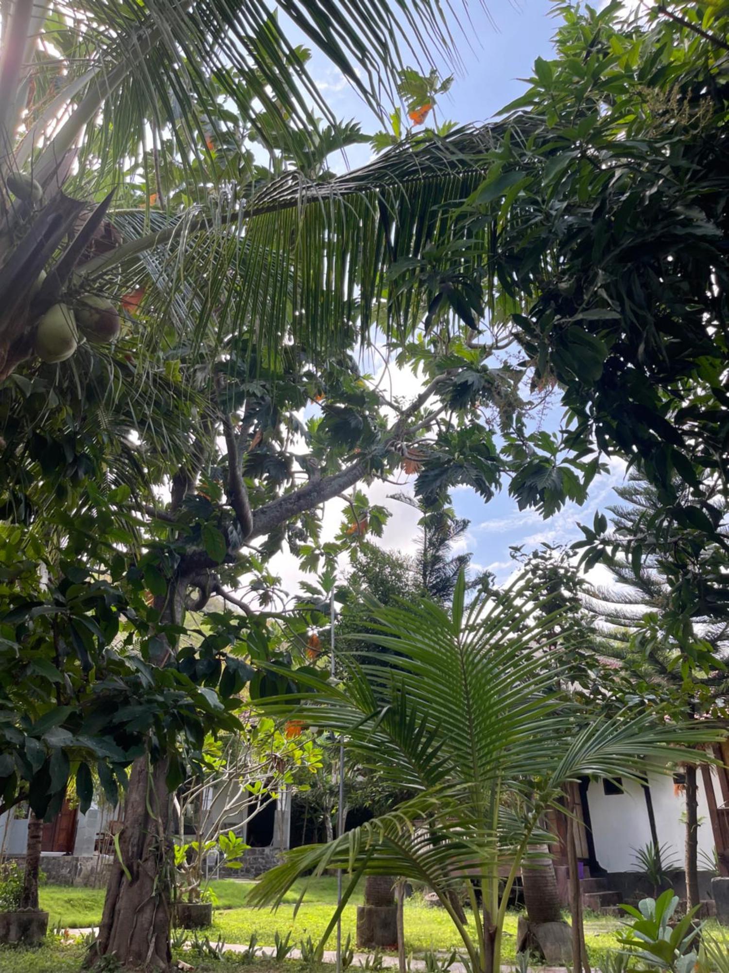 Tri Putri Homestay Kuta  Экстерьер фото